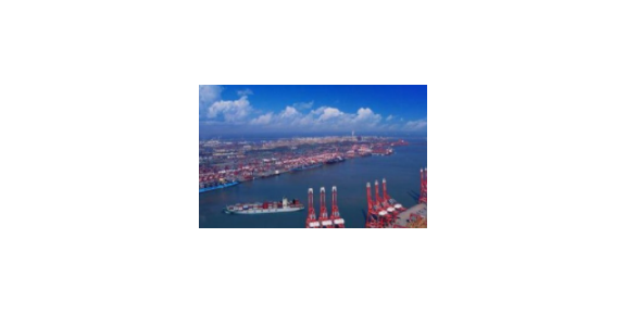 金山区第三方贸易服务商简介,贸易服务商