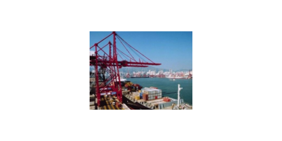 金山区第三方贸易服务商简介,贸易服务商