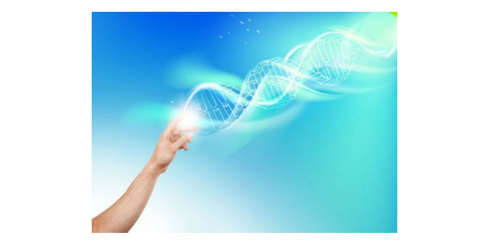 襄城区电话生物化工产品技术研发要求,生物化工产品技术研发