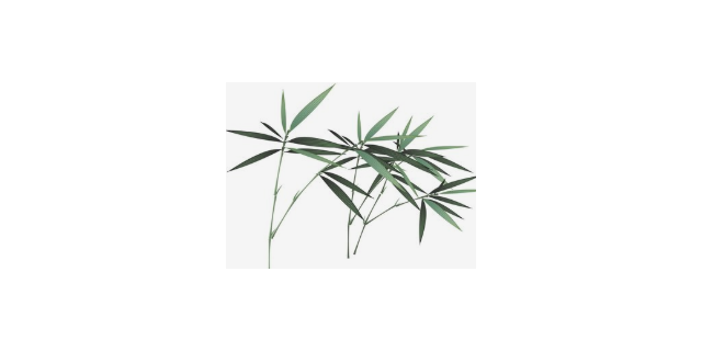 闵行区常规策划服务生产商价格实惠,策划服务生产商