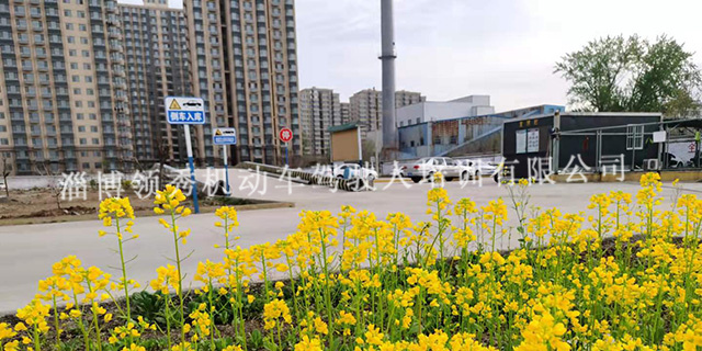 淄博体育场附近驾校培训,驾校