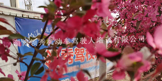 淄博体育场附近驾校培训,驾校