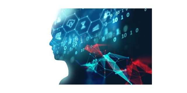 松江区技术商务服务零售价,商务服务