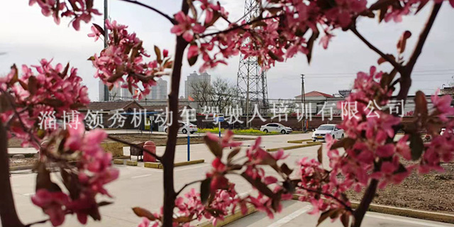 张店多少钱可以考C2驾照,驾照