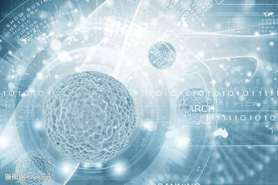 宜城互联网林业有害生物防治服务介绍,林业有害生物防治服务