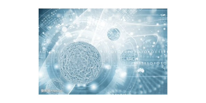 南漳标准白蚁防治服务哪家好,白蚁防治服务