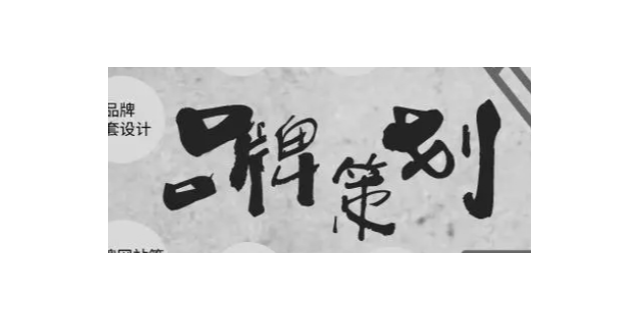 宝山区项目品牌策划性价比,品牌策划