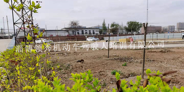 张店多少钱可以考C2驾照,驾照